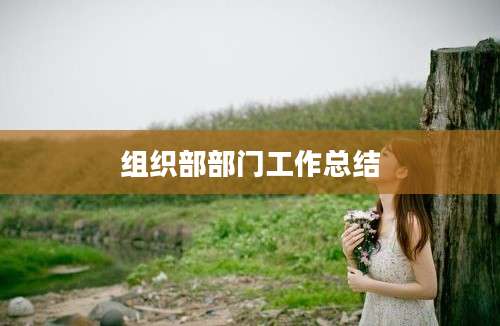 组织部部门工作总结