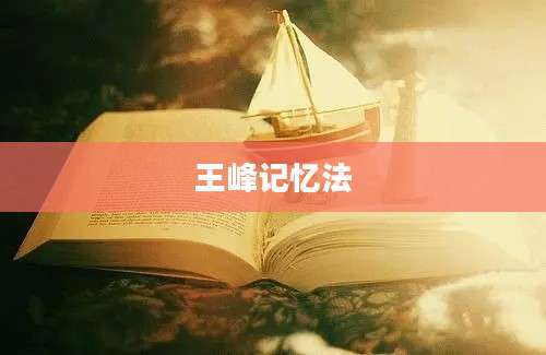 王峰记忆法