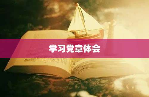 学习党章体会