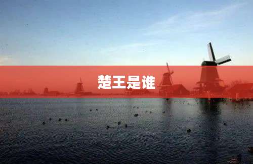 楚王是谁