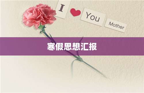 寒假思想汇报