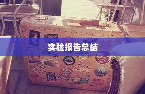 实验报告总结