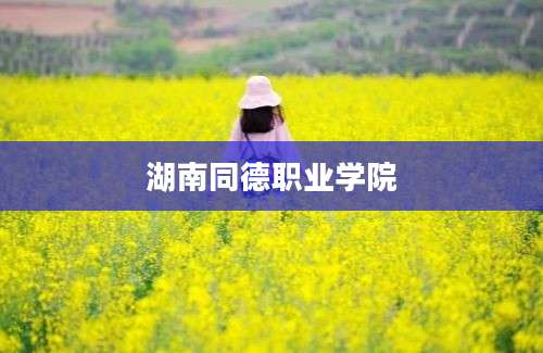湖南同德职业学院