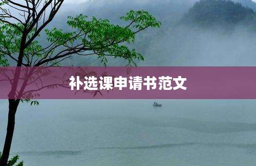 补选课申请书范文