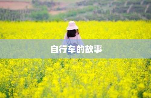 自行车的故事