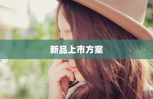 新品上市方案