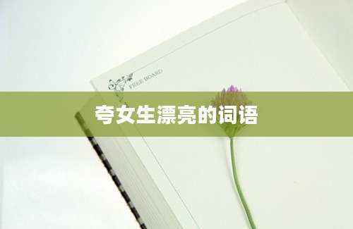 夸女生漂亮的词语