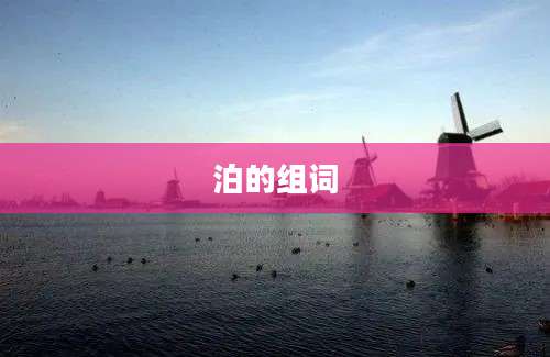 泊的组词
