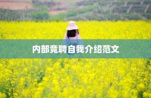 内部竞聘自我介绍范文