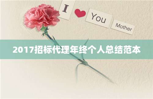 2017招标代理年终个人总结范本