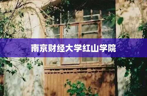 南京财经大学红山学院