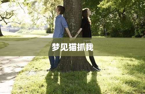 梦见猫抓我