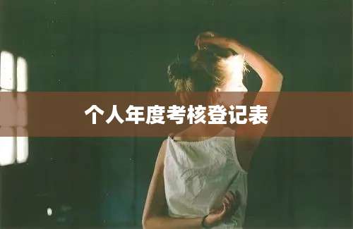 个人年度考核登记表