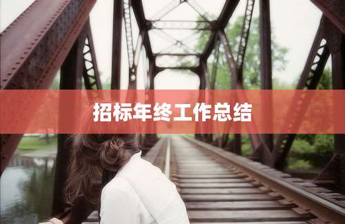 招标年终工作总结