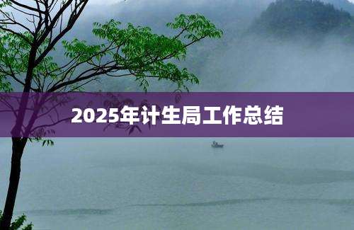 2025年计生局工作总结