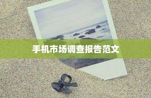 手机市场调查报告范文