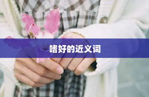 嗜好的近义词