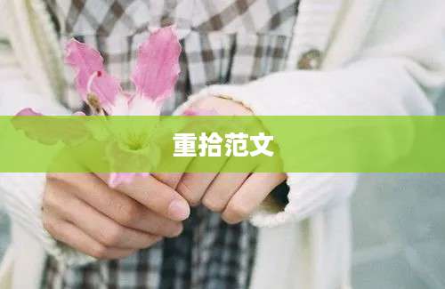 重拾范文