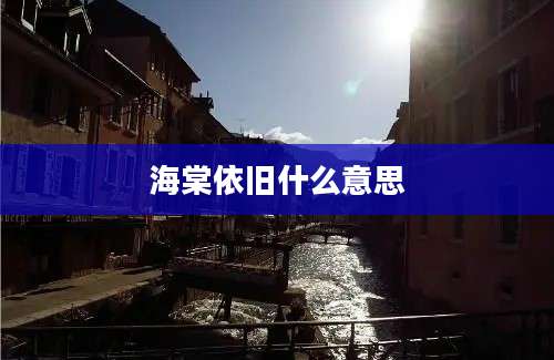 海棠依旧什么意思