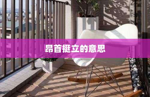 昂首挺立的意思