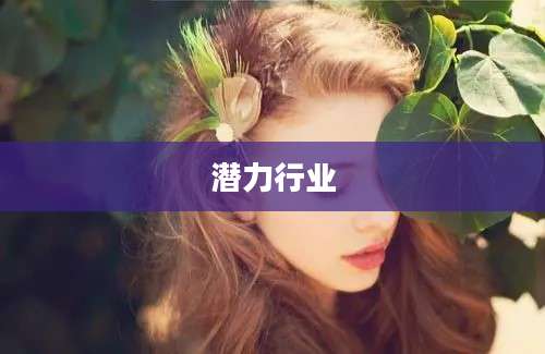 潜力行业