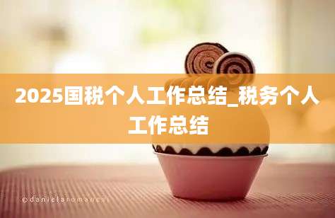 2025国税个人工作总结_税务个人工作总结