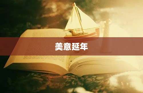 美意延年