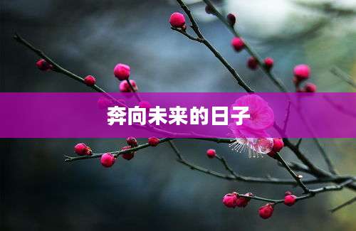 奔向未来的日子