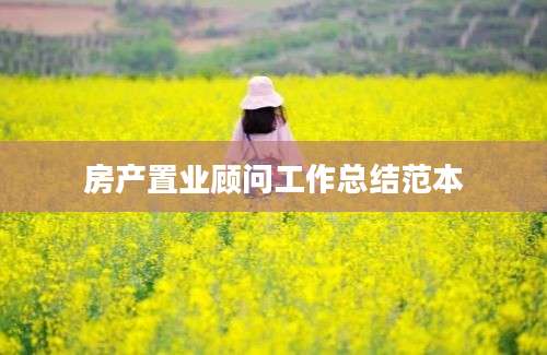 房产置业顾问工作总结范本