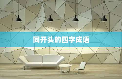 同开头的四字成语