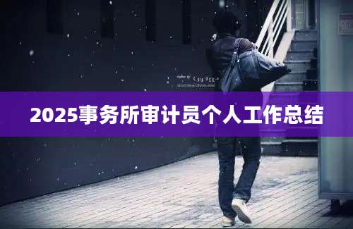 2025事务所审计员个人工作总结