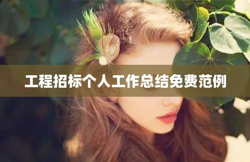 工程招标个人工作总结免费范例