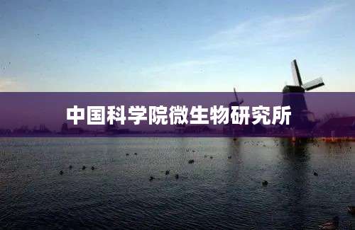 中国科学院微生物研究所