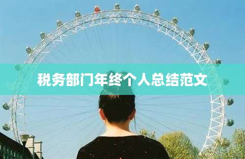 税务部门年终个人总结范文