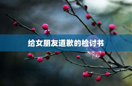 给女朋友道歉的检讨书