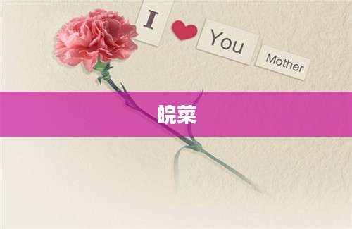 皖菜