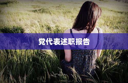 党代表述职报告