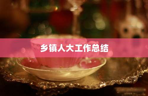乡镇人大工作总结