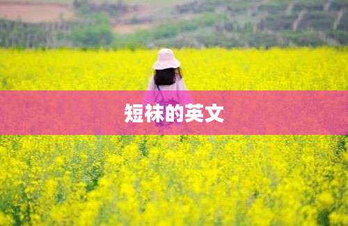短袜的英文