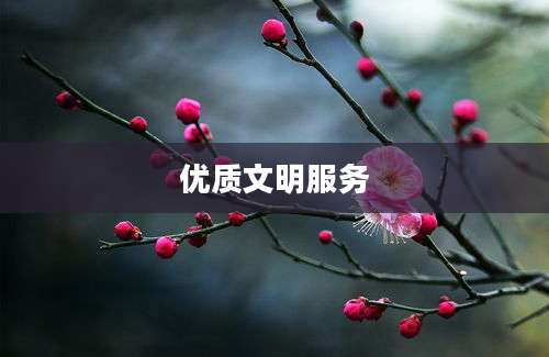 优质文明服务
