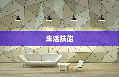 生活技能