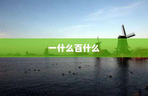 一什么百什么