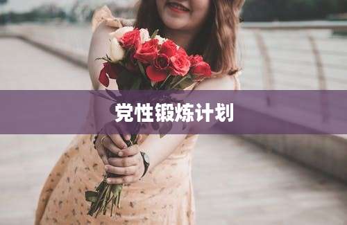 党性锻炼计划