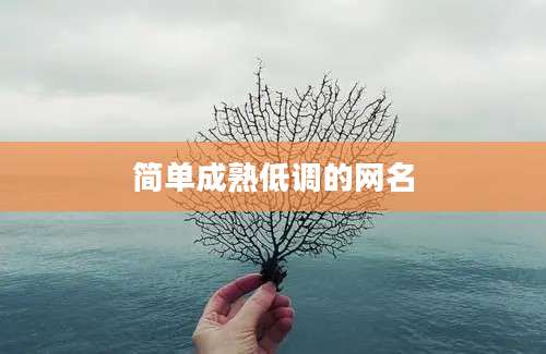 简单成熟低调的网名