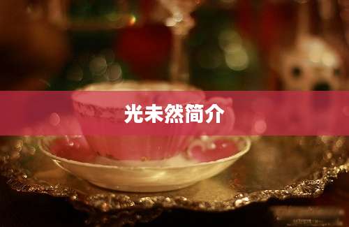 光未然简介