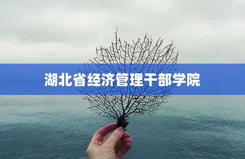 湖北省经济管理干部学院
