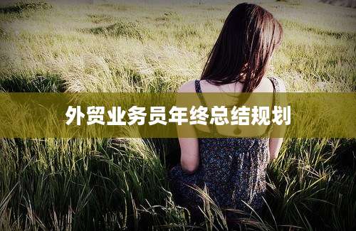 外贸业务员年终总结规划