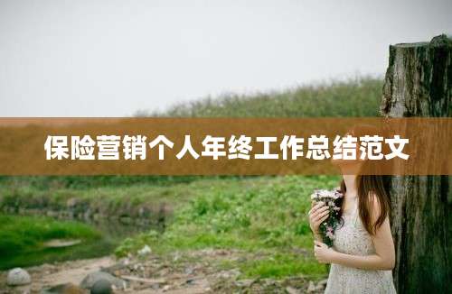 保险营销个人年终工作总结范文