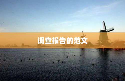 调查报告的范文
