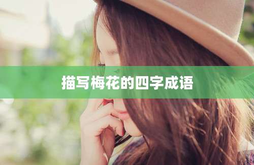 描写梅花的四字成语